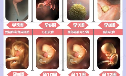 鼻咽部恶臭颗粒网鼻咽腔里有股难闻的臭味怎么办知识网站,分享鼻咽部引起的口臭怎么治疗大全